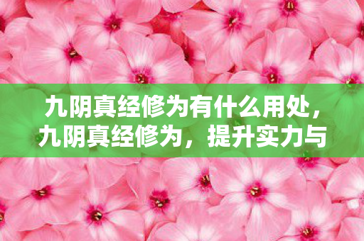 九阴真经修为有什么用处，九阴真经修为，提升实力与境界的钥匙