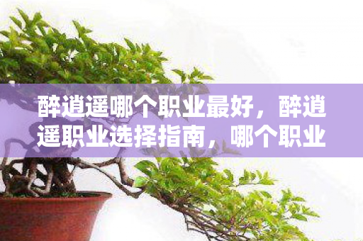 醉逍遥哪个职业最好，醉逍遥职业选择指南，哪个职业最适合你？