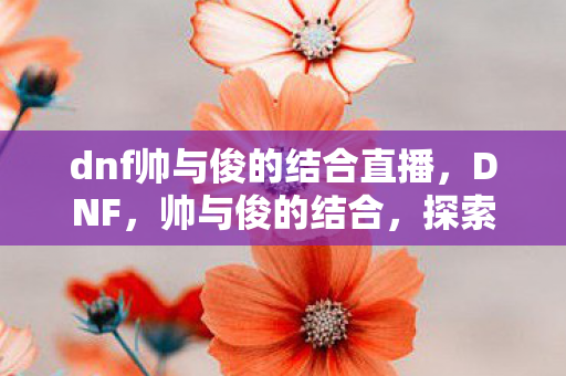 dnf帅与俊的结合直播，DNF，帅与俊的结合，探索游戏美学与战斗艺术的融合
