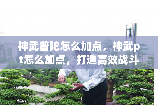 神武普陀怎么加点，神武pt怎么加点，打造高效战斗力的全面指南