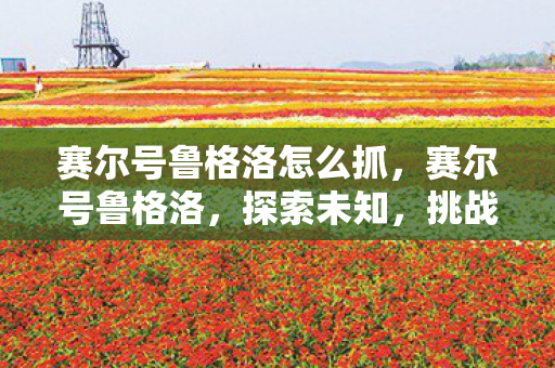 赛尔号鲁格洛怎么抓，赛尔号鲁格洛，探索未知，挑战极限的奇幻之旅