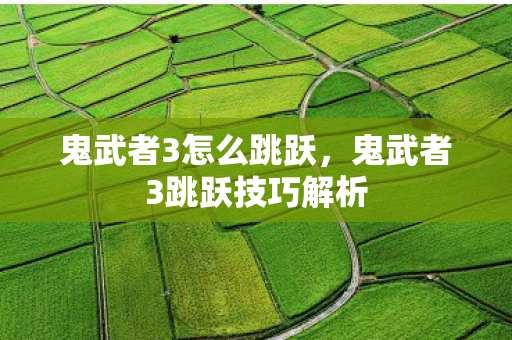 鬼武者3怎么跳跃，鬼武者3跳跃技巧解析