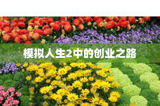 模拟人生2中的创业之路