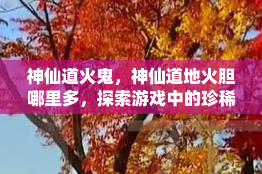 神仙道火鬼，神仙道地火胆哪里多，探索游戏中的珍稀资源