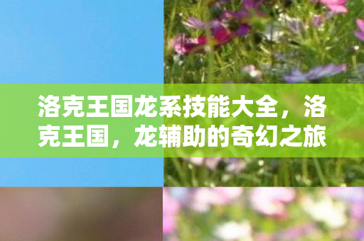 洛克王国龙系技能大全，洛克王国，龙辅助的奇幻之旅
