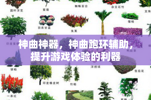 神曲神器，神曲跑环辅助，提升游戏体验的利器