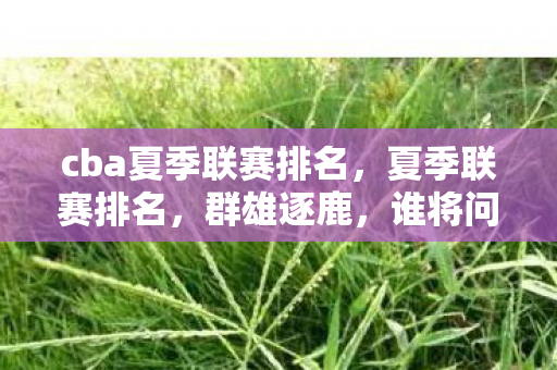 cba夏季联赛排名，夏季联赛排名，群雄逐鹿，谁将问鼎？