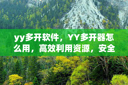 yy多开软件，YY多开器怎么用，高效利用资源，安全多账号登录
