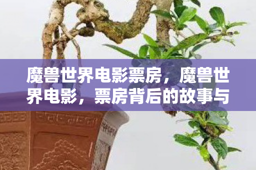 魔兽世界电影票房，魔兽世界电影，票房背后的故事与影响