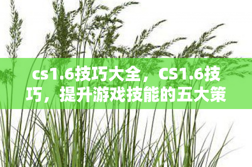 cs1.6技巧大全，CS1.6技巧，提升游戏技能的五大策略