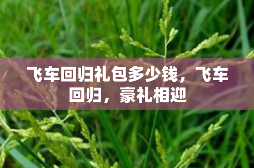 飞车回归礼包多少钱，飞车回归，豪礼相迎