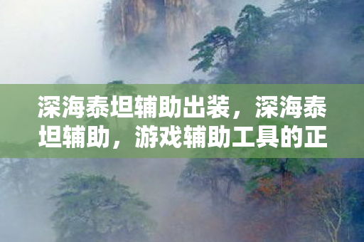 深海泰坦辅助出装，深海泰坦辅助，游戏辅助工具的正确使用与注意事项