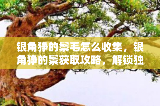 银角狰的鬃毛怎么收集，银角狰的鬃获取攻略，解锁独特外观的秘诀