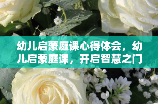 幼儿启蒙庭课心得体会，幼儿启蒙庭课，开启智慧之门的钥匙