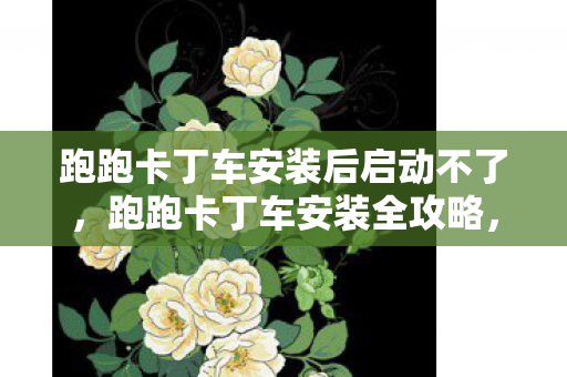 跑跑卡丁车安装后启动不了，跑跑卡丁车安装全攻略，轻松上手，畅享漂移乐趣