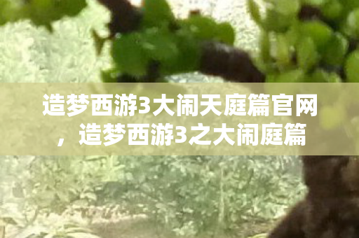 造梦西游3大闹天庭篇官网，造梦西游3之大闹庭篇
