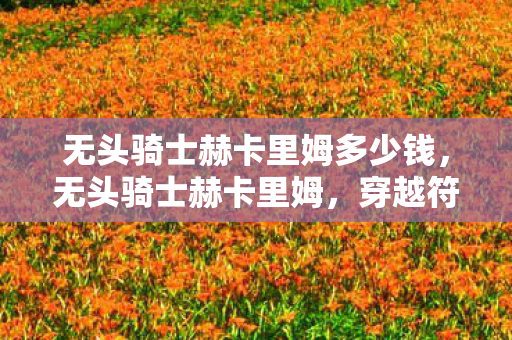 无头骑士赫卡里姆多少钱，无头骑士赫卡里姆，穿越符文之地的神秘之旅