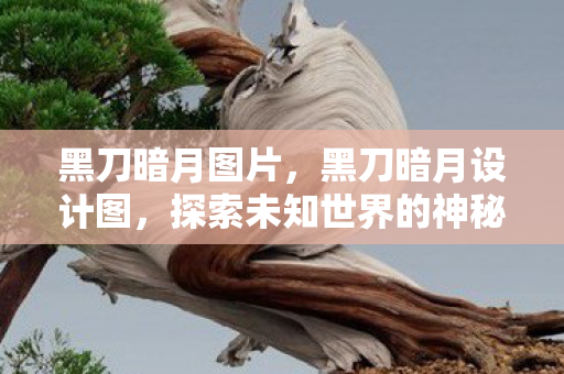 黑刀暗月图片，黑刀暗月设计图，探索未知世界的神秘钥匙
