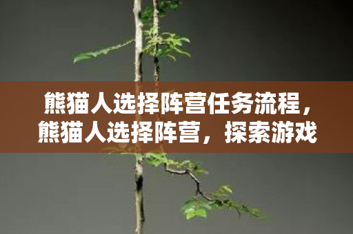 熊猫人选择阵营任务流程，熊猫人选择阵营，探索游戏世界的无限可能