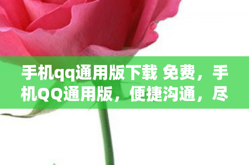 手机qq通用版下载 免费，手机QQ通用版，便捷沟通，尽享数字生活新体验