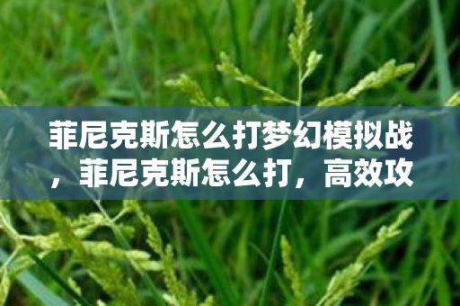 菲尼克斯怎么打梦幻模拟战，菲尼克斯怎么打，高效攻略与技巧分享