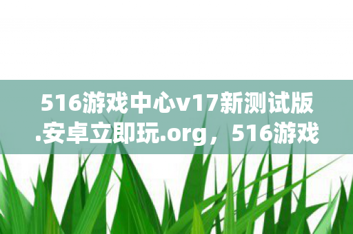 516游戏中心v17新测试版.安卓立即玩.org，516游戏中心，打造安全、便捷的游戏体验