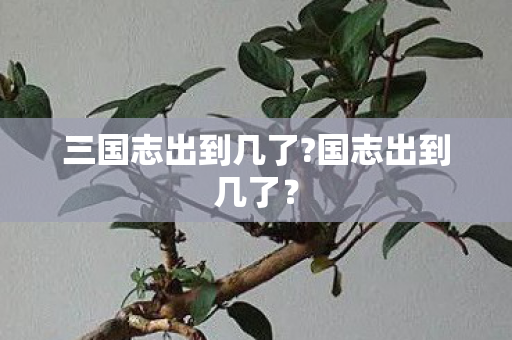 三国志出到几了?国志出到几了？