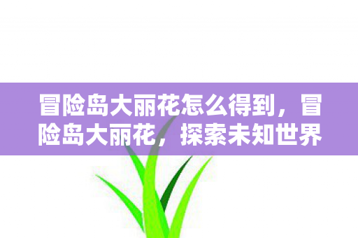 冒险岛大丽花怎么得到，冒险岛大丽花，探索未知世界的奇妙之旅