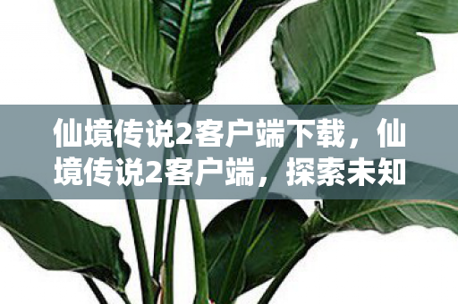 仙境传说2客户端下载，仙境传说2客户端，探索未知世界的奇妙之旅