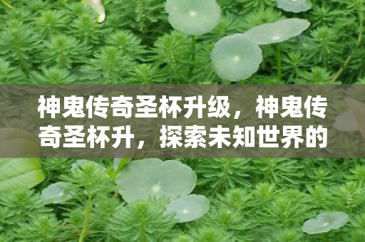 神鬼传奇圣杯升级，神鬼传奇圣杯升，探索未知世界的神秘之旅