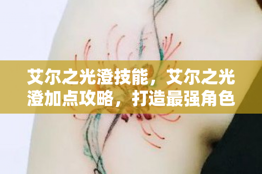 艾尔之光澄技能，艾尔之光澄加点攻略，打造最强角色的关键步骤