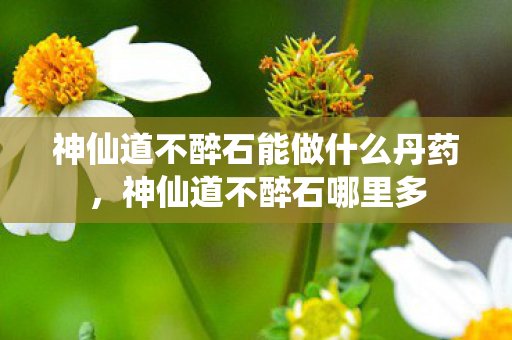 神仙道不醉石能做什么丹药，神仙道不醉石哪里多