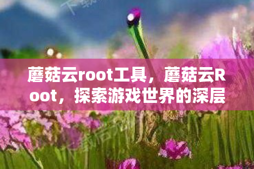 蘑菇云root工具，蘑菇云Root，探索游戏世界的深层奥秘