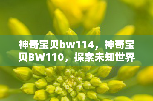 神奇宝贝bw114，神奇宝贝BW110，探索未知世界的奇幻之旅