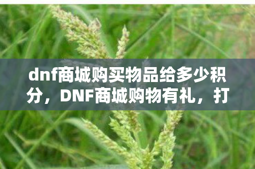 dnf商城购买物品给多少积分，DNF商城购物有礼，打造你的专属游戏乐园