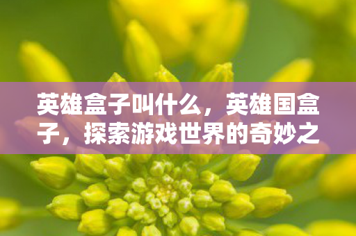 英雄盒子叫什么，英雄国盒子，探索游戏世界的奇妙之旅
