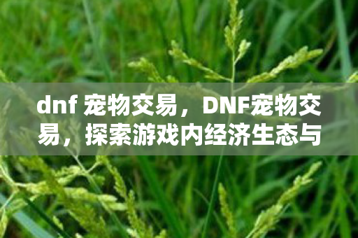 dnf 宠物交易，DNF宠物交易，探索游戏内经济生态与玩家互动的新维度