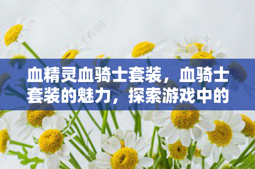 血精灵血骑士套装，血骑士套装的魅力，探索游戏中的传奇装备