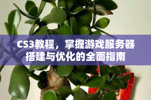 CS3教程，掌握游戏服务器搭建与优化的全面指南