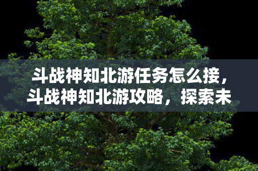 斗战神知北游任务怎么接，斗战神知北游攻略，探索未知，挑战极限