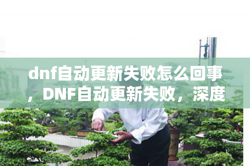 dnf自动更新失败怎么回事，DNF自动更新失败，深度解析与解决方案