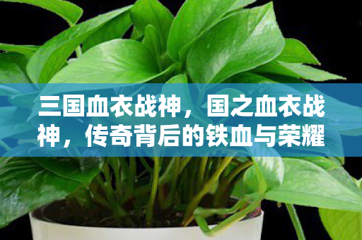 三国血衣战神，国之血衣战神，传奇背后的铁血与荣耀