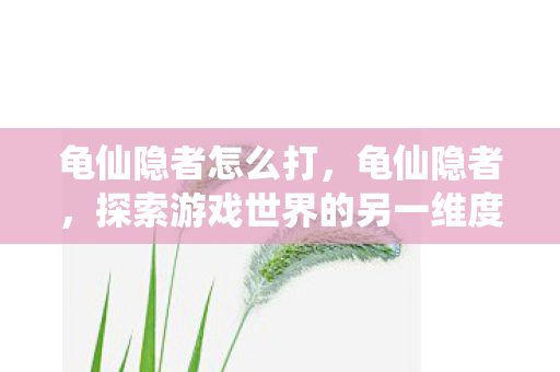 龟仙隐者怎么打，龟仙隐者，探索游戏世界的另一维度