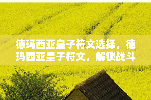 德玛西亚皇子符文选择，德玛西亚皇子符文，解锁战斗潜能的秘钥