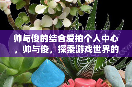帅与俊的结合爱拍个人中心，帅与俊，探索游戏世界的审美与情感