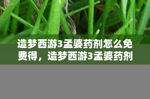 造梦西游3孟婆药剂怎么免费得，造梦西游3孟婆药剂，解锁角色新技能，助力西游之旅