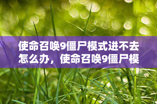 使命召唤9僵尸模式进不去怎么办，使命召唤9僵尸模式无法进入的解决方法