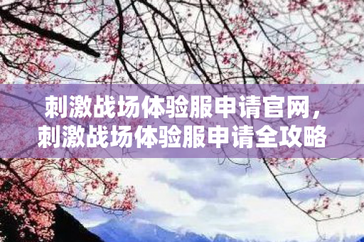 刺激战场体验服申请官网，刺激战场体验服申请全攻略，如何成功加入测试行列？