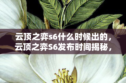 云顶之弈s6什么时候出的，云顶之弈S6发布时间揭秘，全新赛季，全新挑战
