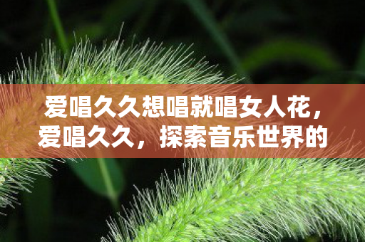 爱唱久久想唱就唱女人花，爱唱久久，探索音乐世界的无限可能